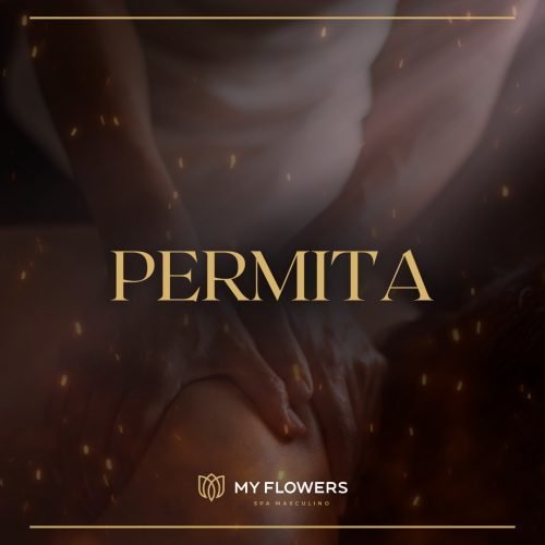 488541119_122154103406365723_328693664009726229_n